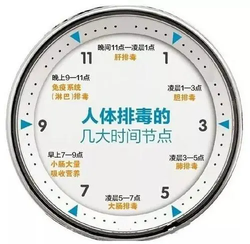 身體是怎么做到每天排毒的？