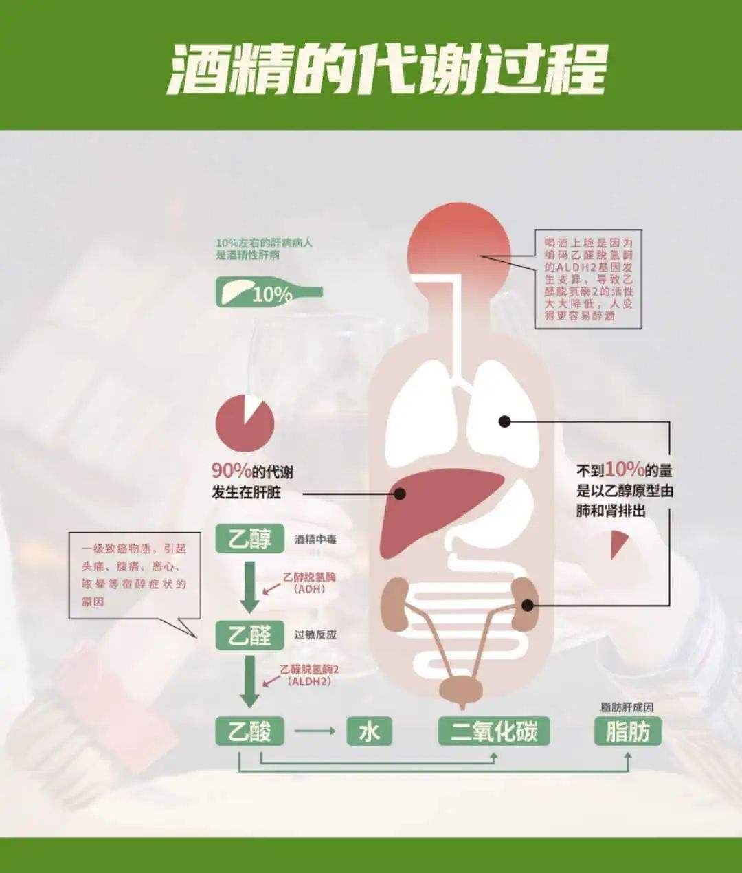 以下集中表現(xiàn)肝排毒功能不好，早注意減少肝損傷！
