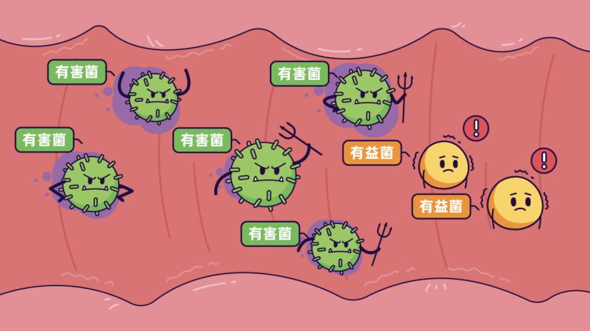 腸道菌群一定要知道的7大功能