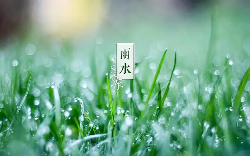 雨水生寒濕，健脾養(yǎng)胃有妙招