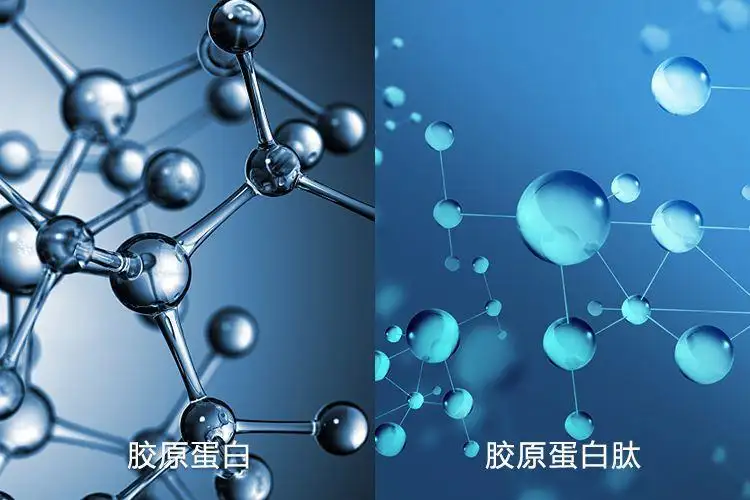 皮膚為什么會(huì)衰老？