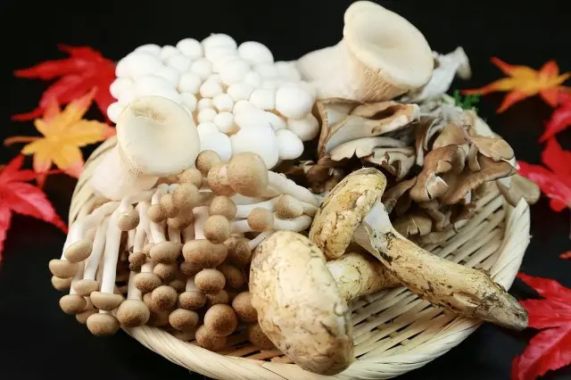 這些菜，不能夠熱第二次