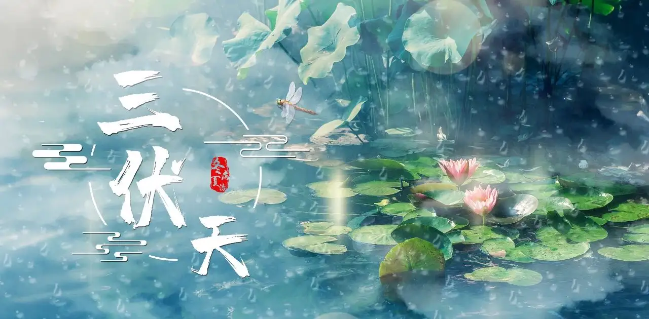 三伏天，這份食養(yǎng)“三字經(jīng)”建議收藏