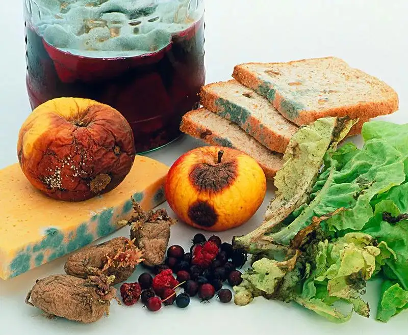哪些“食物刺客”有明確的致癌性？