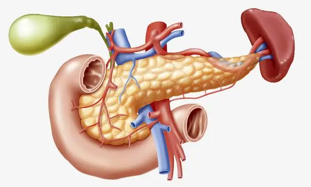 胰腺癌為什么一發(fā)現(xiàn)就是晚期