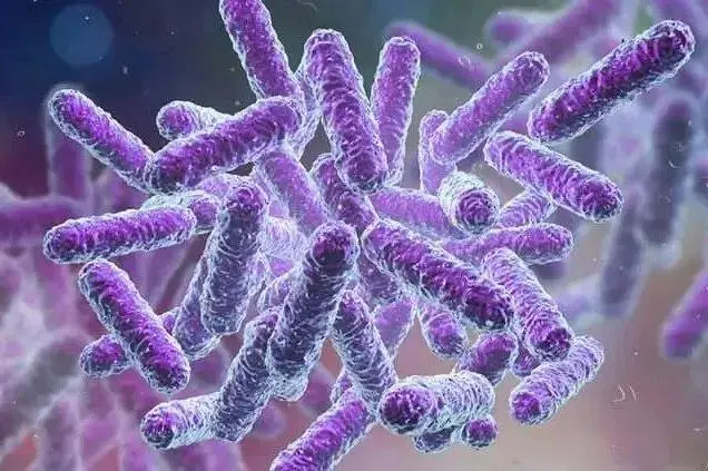 帶你認(rèn)識(shí)一些，不一樣的微生物