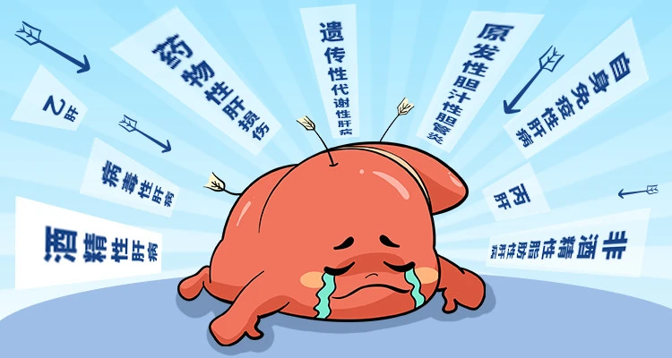 認(rèn)清5大肝病誤區(qū)，科學(xué)養(yǎng)肝
