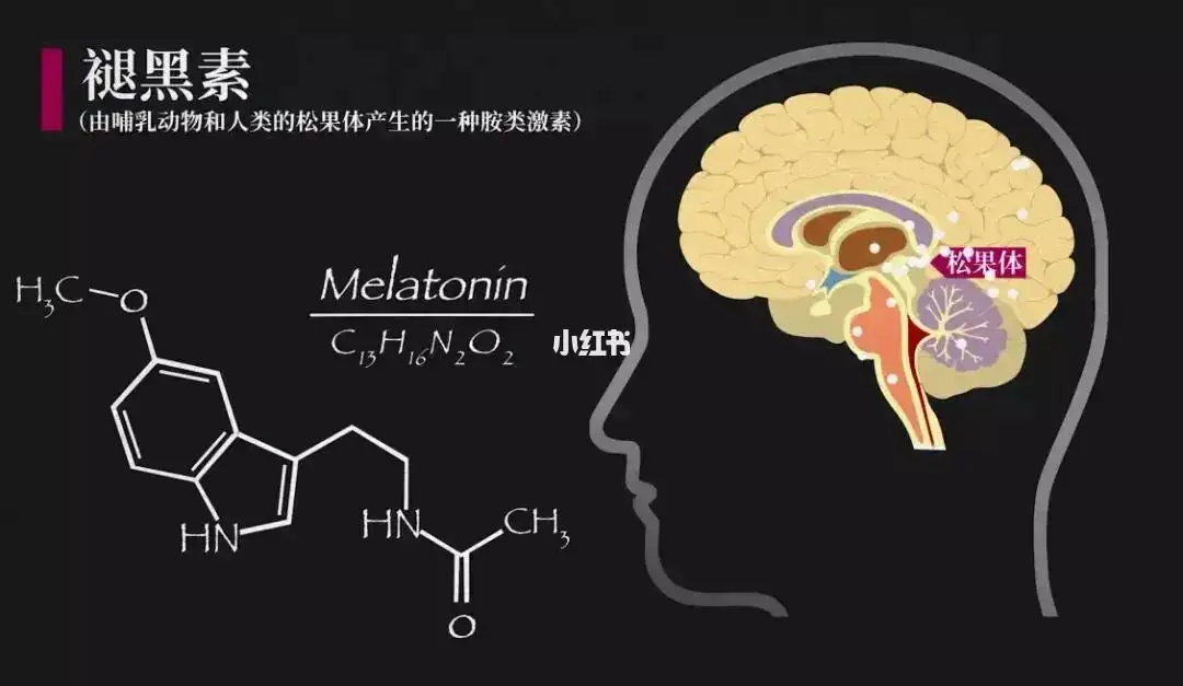“睡眠幫手”褪黑素，究竟是何物？